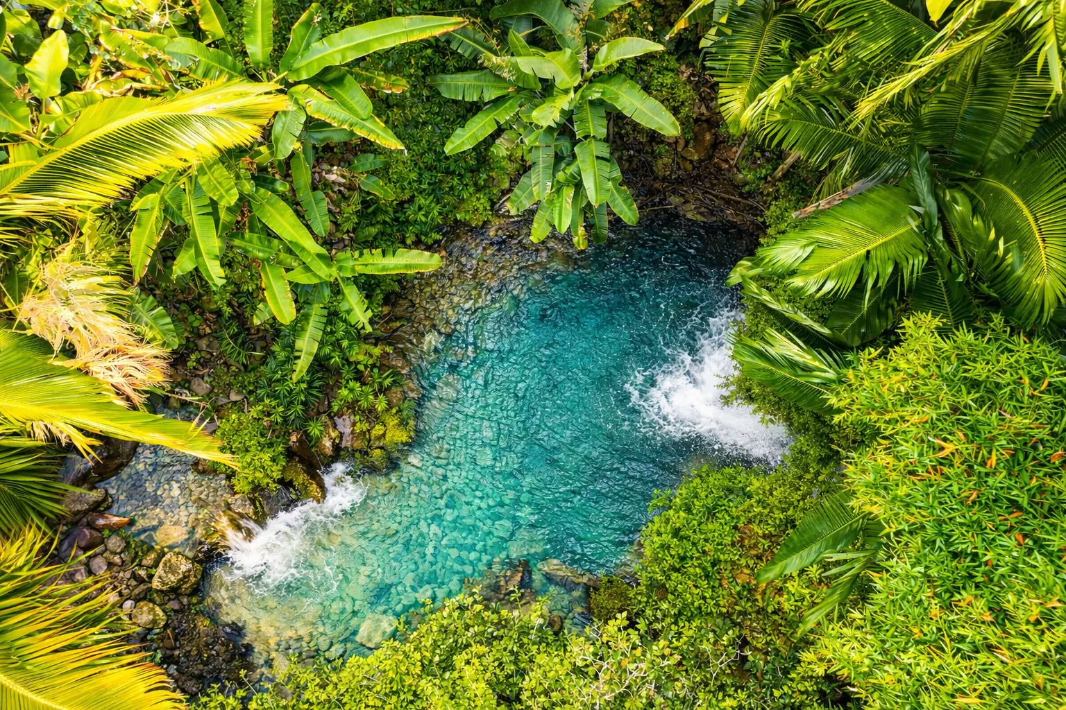 The property's tropical waterfall lagoon